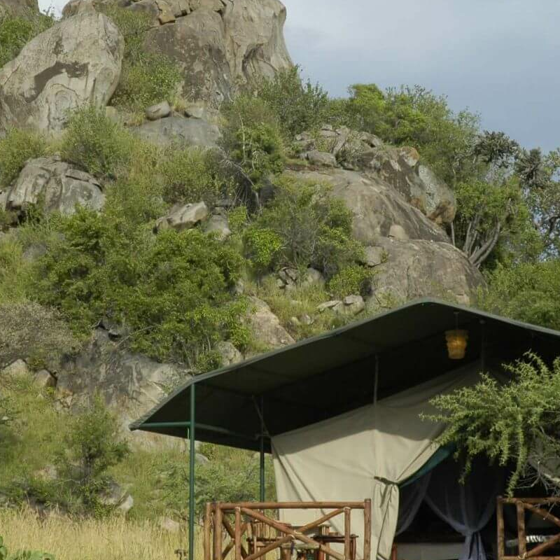 Mbuzi Mawe Serena Camp
