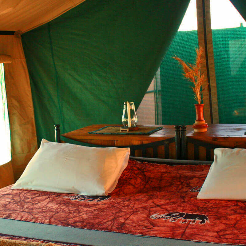 Mdonya Old River Camp