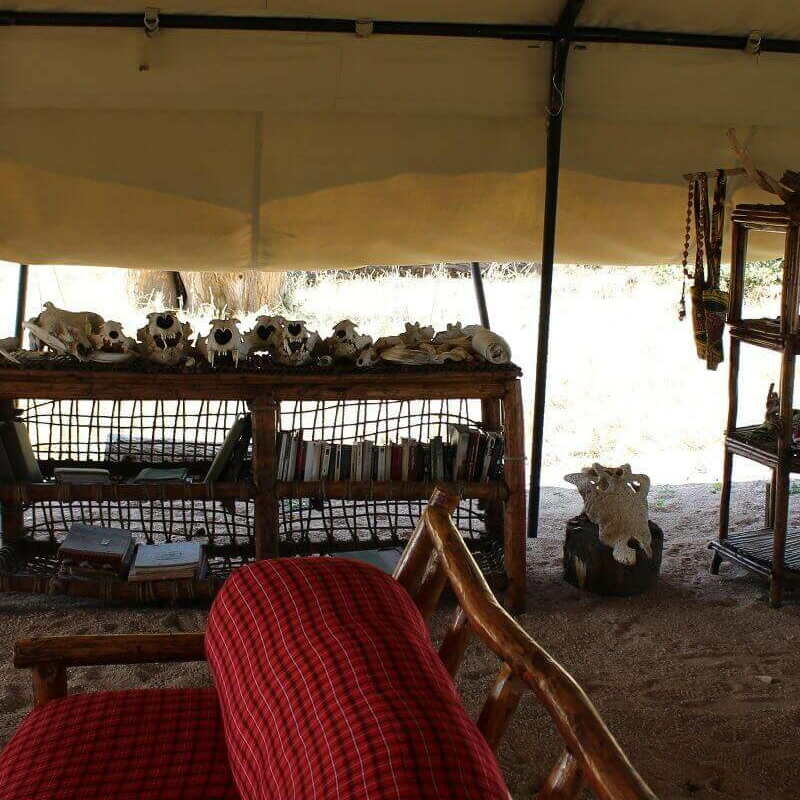 Mdonya Old River Camp