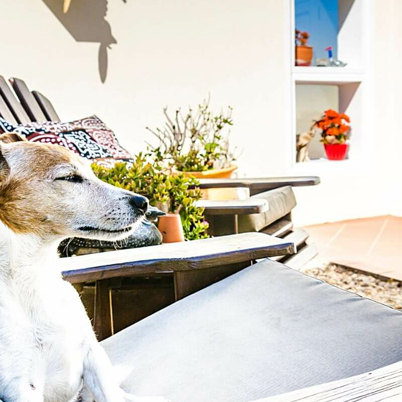 Meike‘s Guesthouse