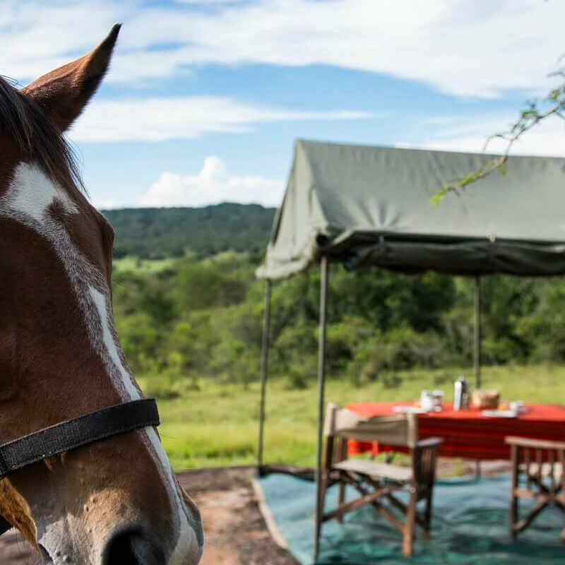 Mihingo Lodge