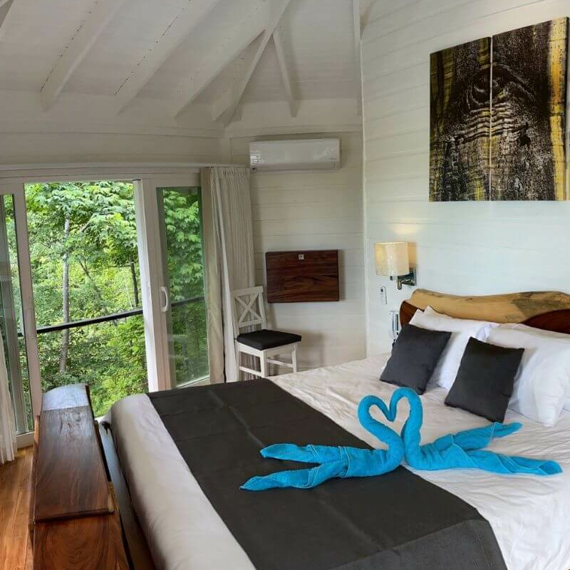 Mikado Natural Lodge