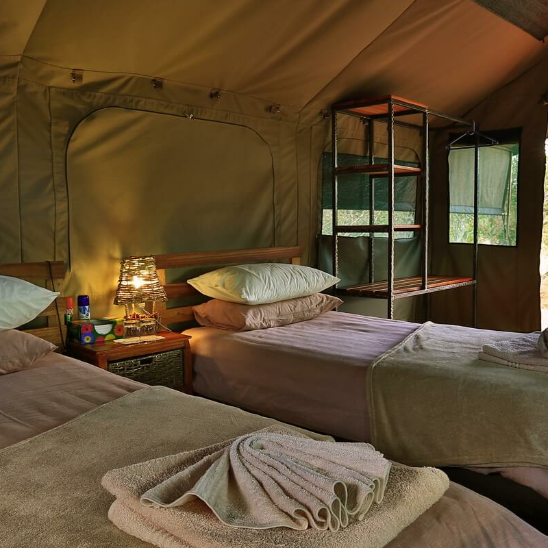 Mogotlho Safari Lodge