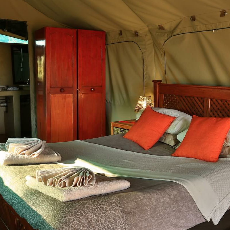 Mogotlho Safari Lodge