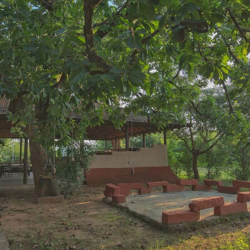 Monsoon Forest