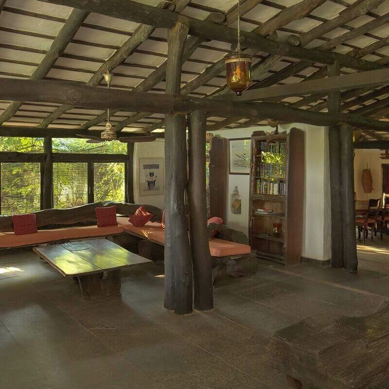 Monsoon Forest