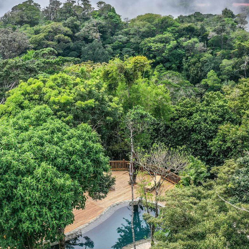 Monteverde Lodge & Gardens