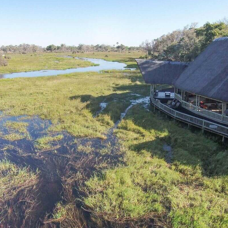 Moremi Crossing Camp