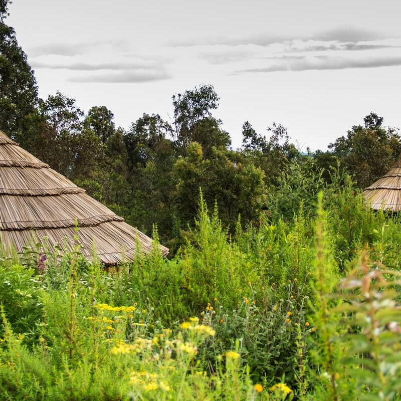 Mount Gahinga Lodge