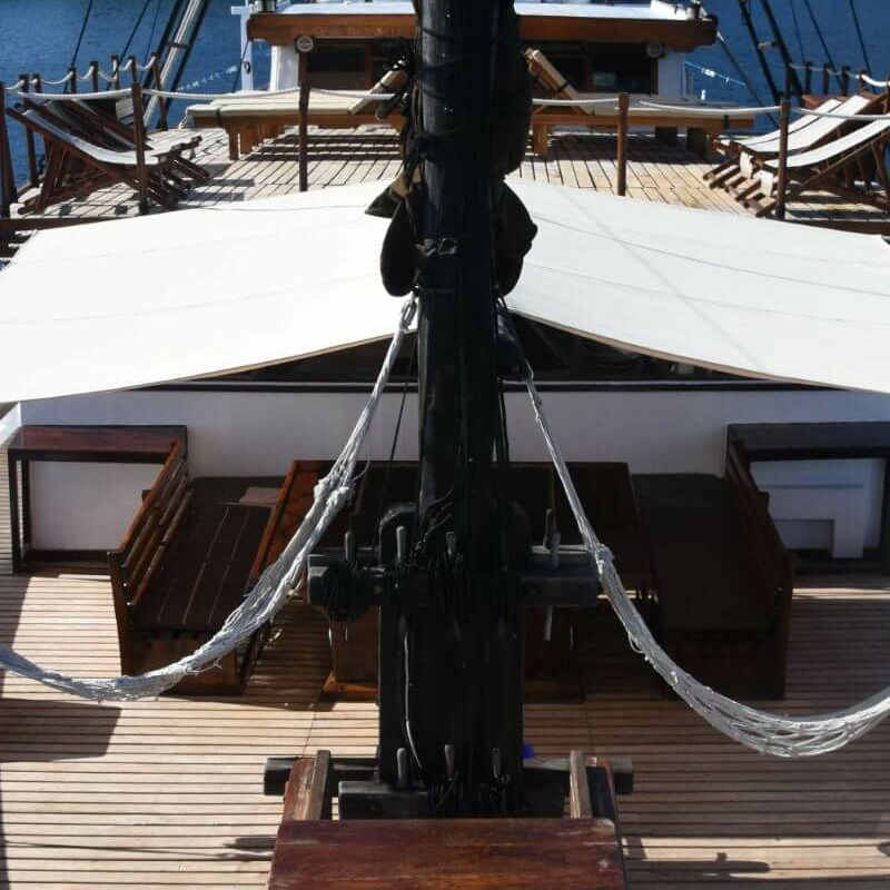 MS Ondina