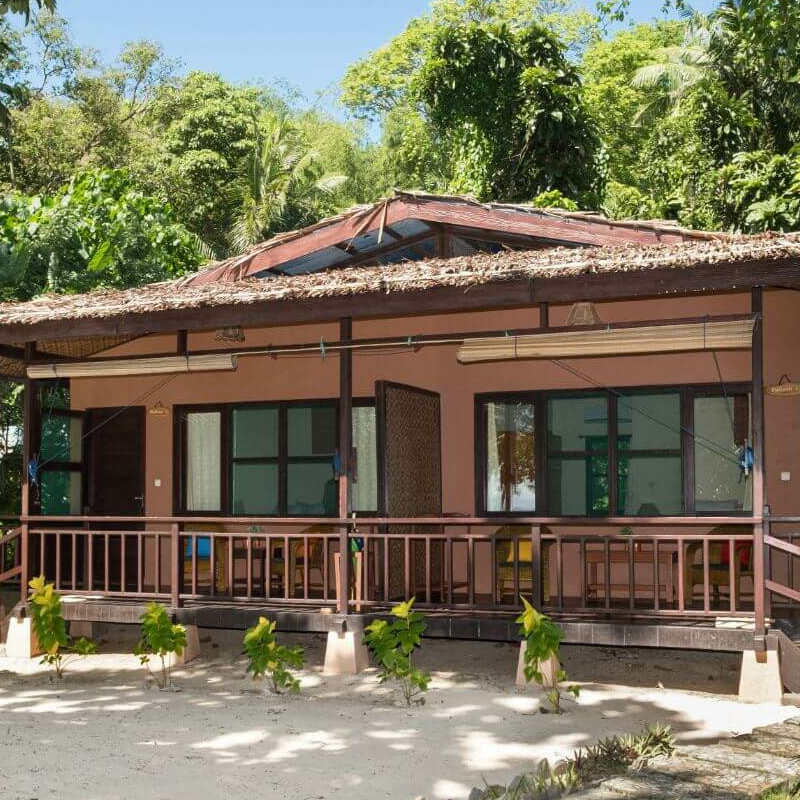 Murex Bangha