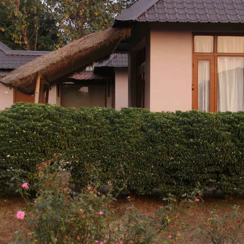 Musa Jungle Retreat