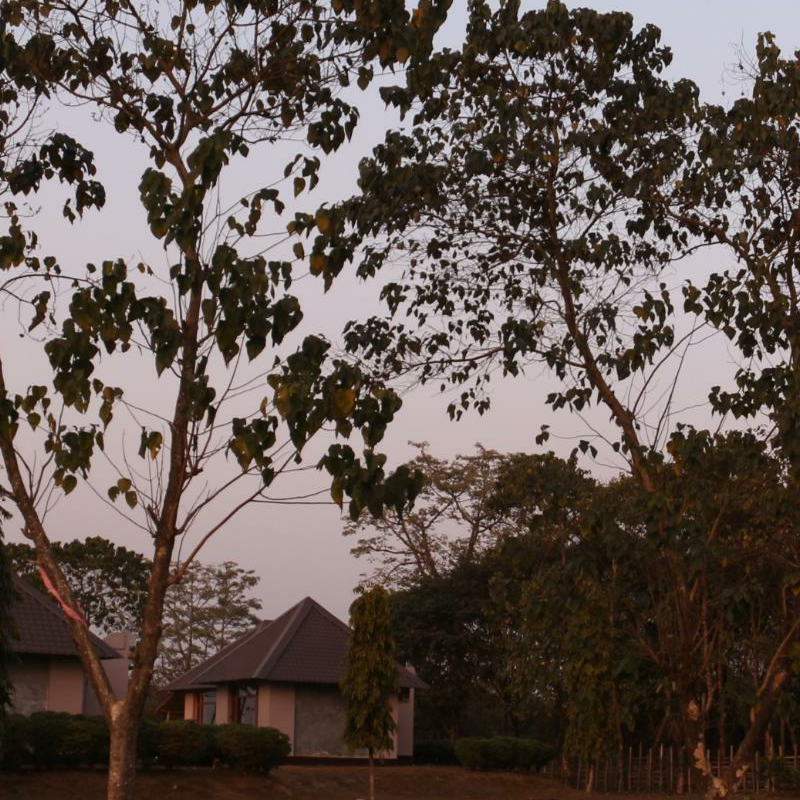 Musa Jungle Retreat