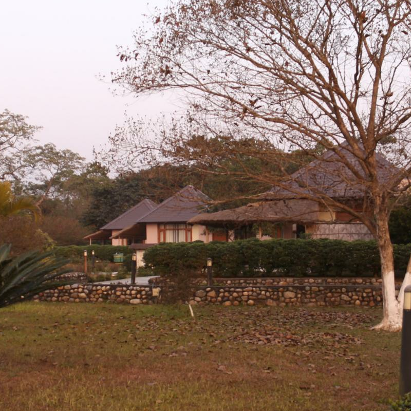 Musa Jungle Retreat