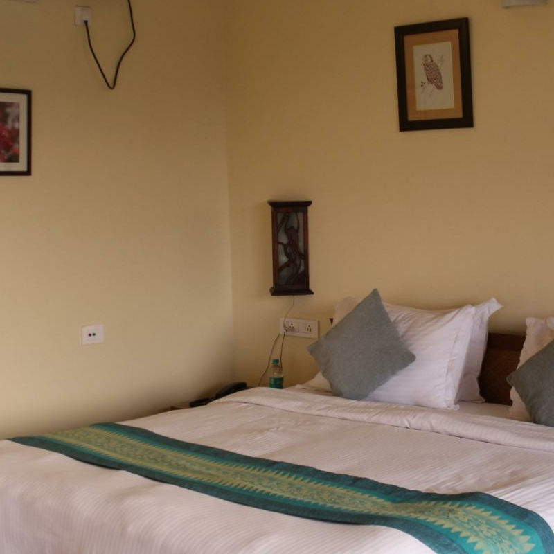 Musa Jungle Retreat