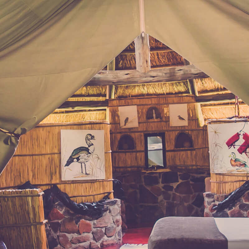 Mwagusi Safari Camp