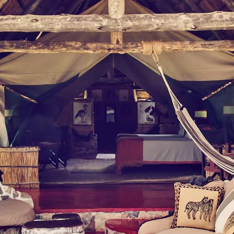 Mwagusi Safari Camp