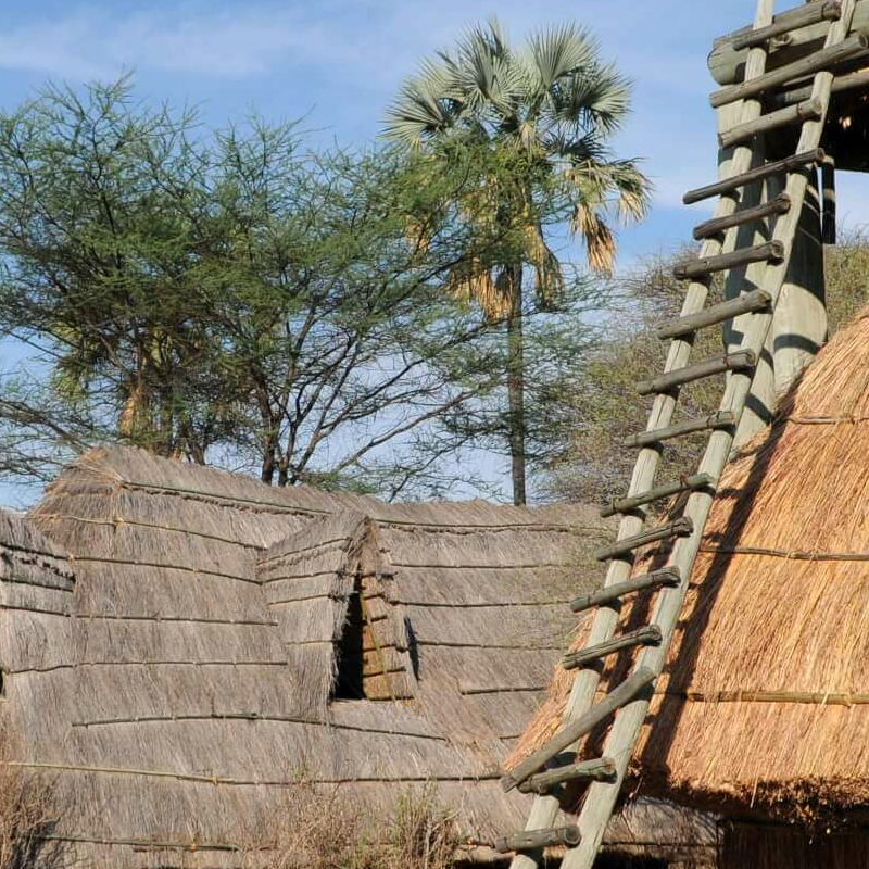 Mwagusi Safari Camp