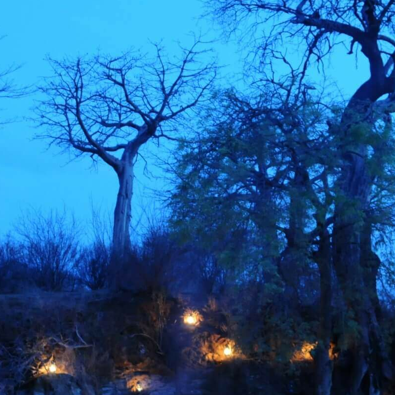 Mwagusi Safari Camp