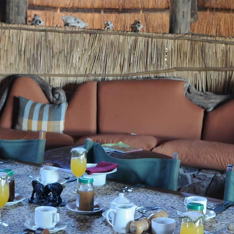 Mwagusi Safari Camp