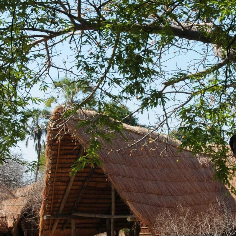 Mwagusi Safari Camp