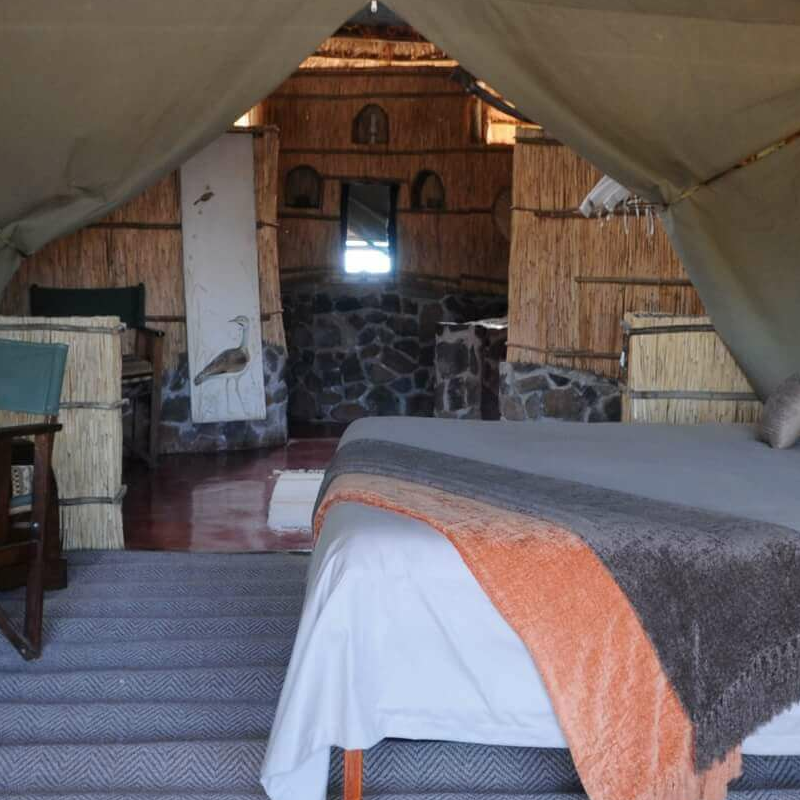 Mwagusi Safari Camp