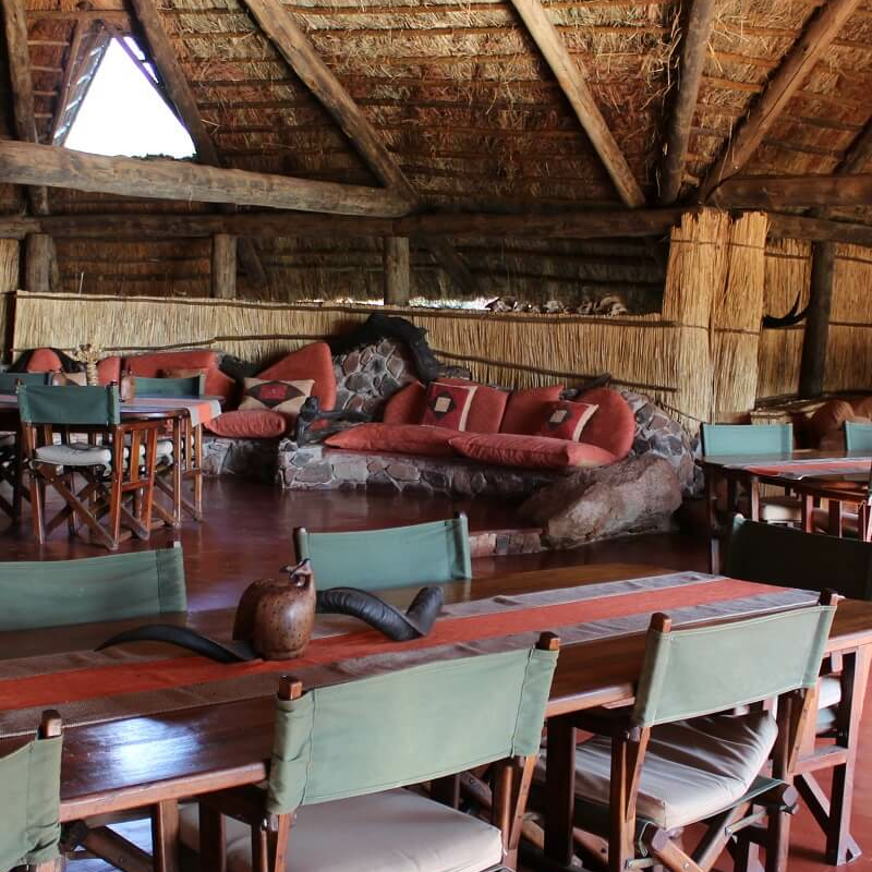 Mwagusi Safari Camp