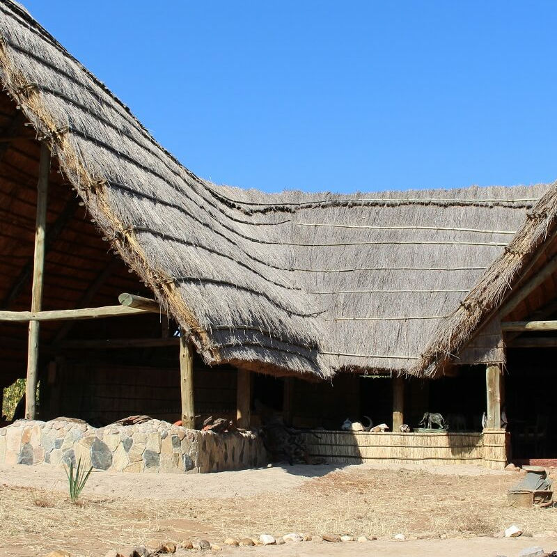 Mwagusi Safari Camp