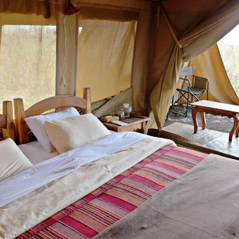 Mysigio Camp