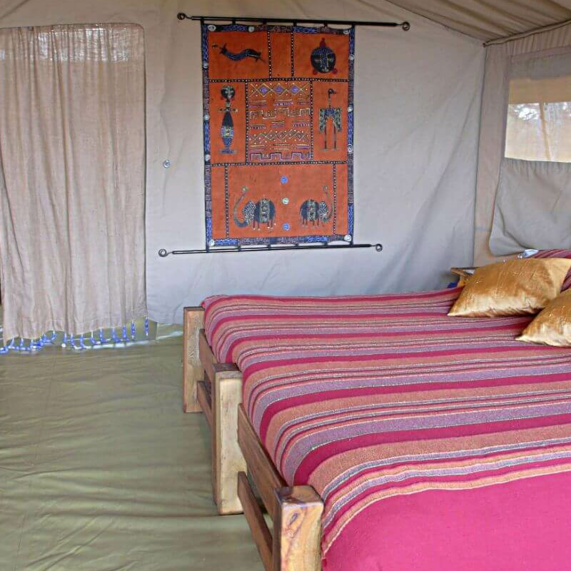 Mysigio Camp