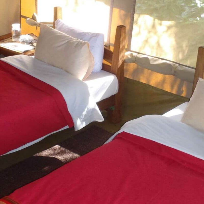 Mysigio Camp