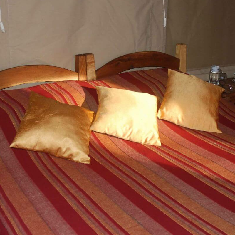 Mysigio Camp
