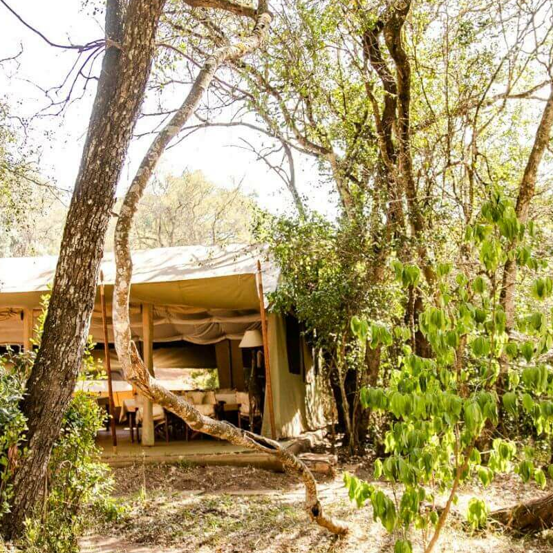Nairobi Tented Camp