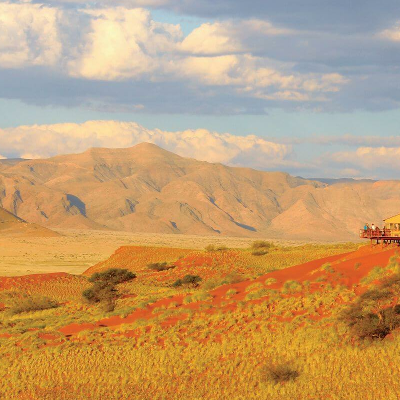 Namib Dune Star