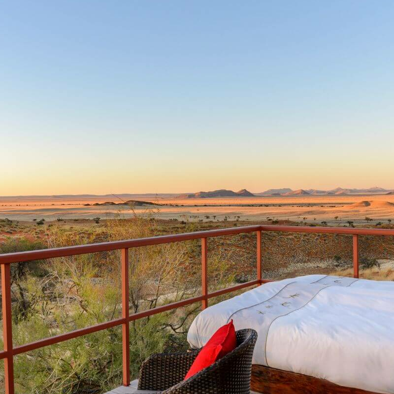 Namib Dune Star