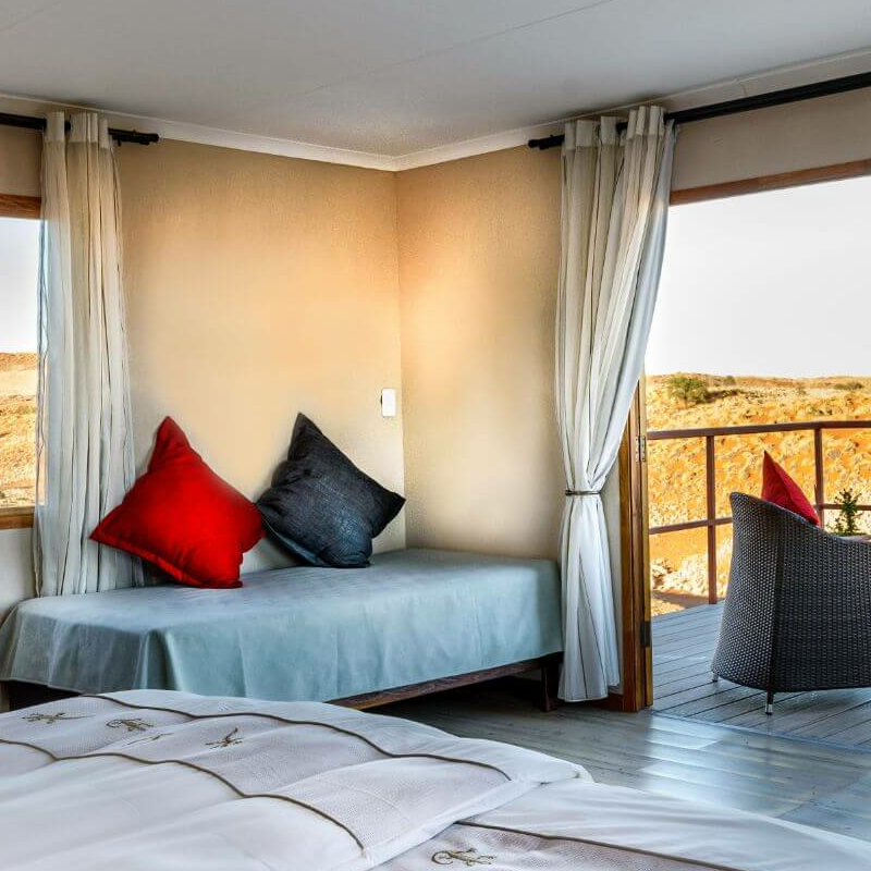 Namib Dune Star