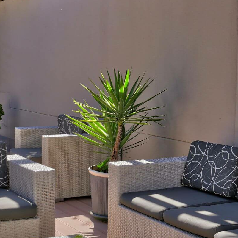 Namib Guesthouse