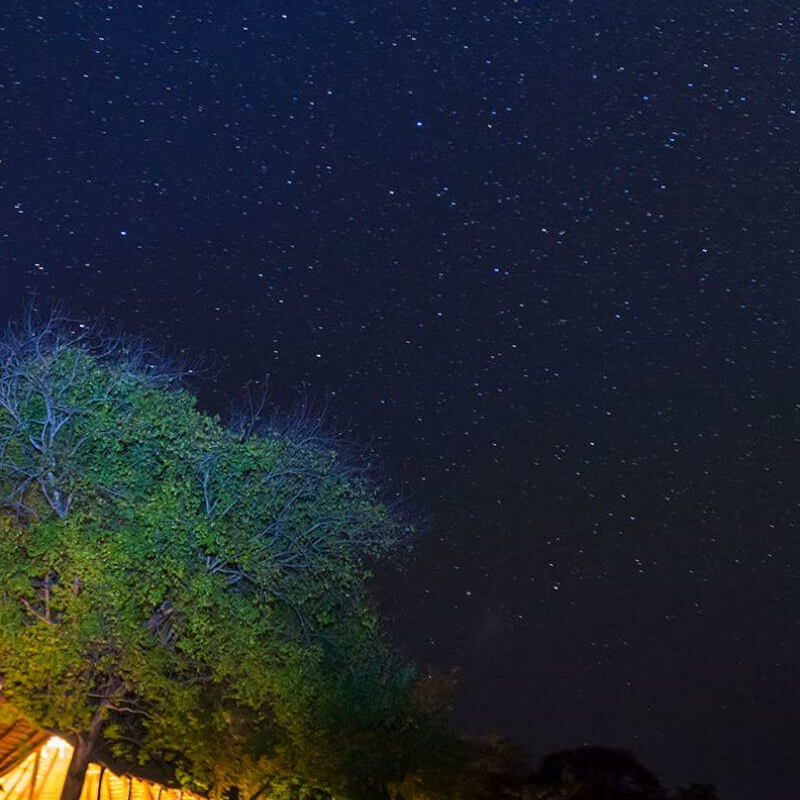 Nanzhila Plains Camp
