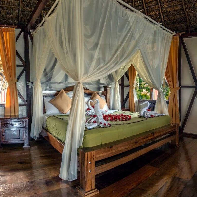 Napo Wildlife Center