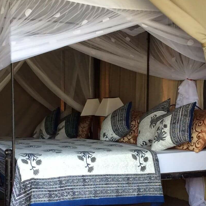Nasikia Mobile Camp Ndutu