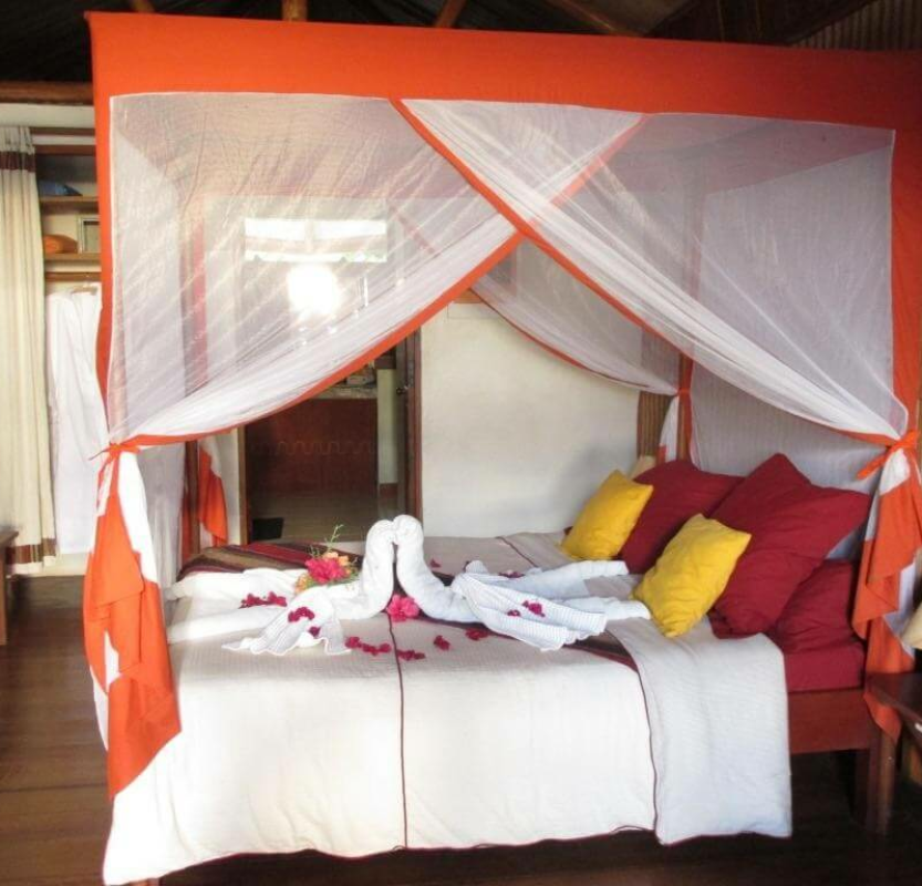 Nature Lodge
