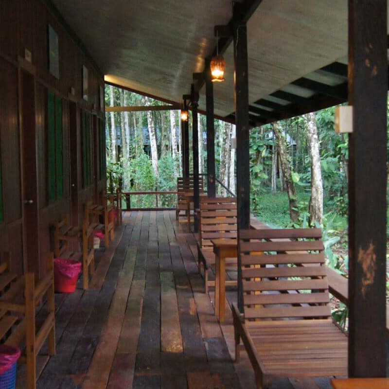 Nature Lodge Kinabatangan