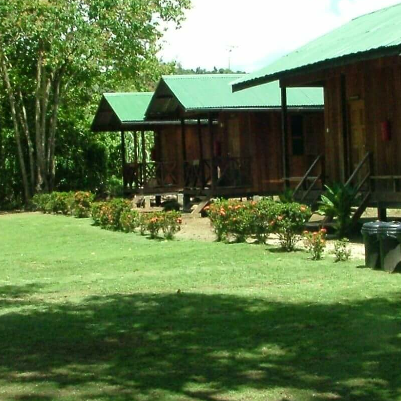 Nature Lodge Kinabatangan