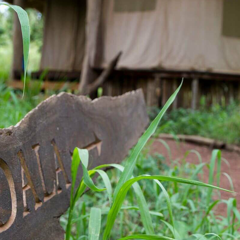 Ndarakwai Ranch Camp