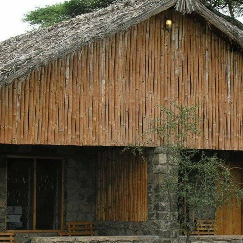 Ndutu Safari Lodge