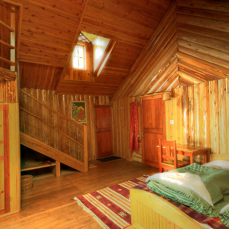 Neora Valley Jungle Camp