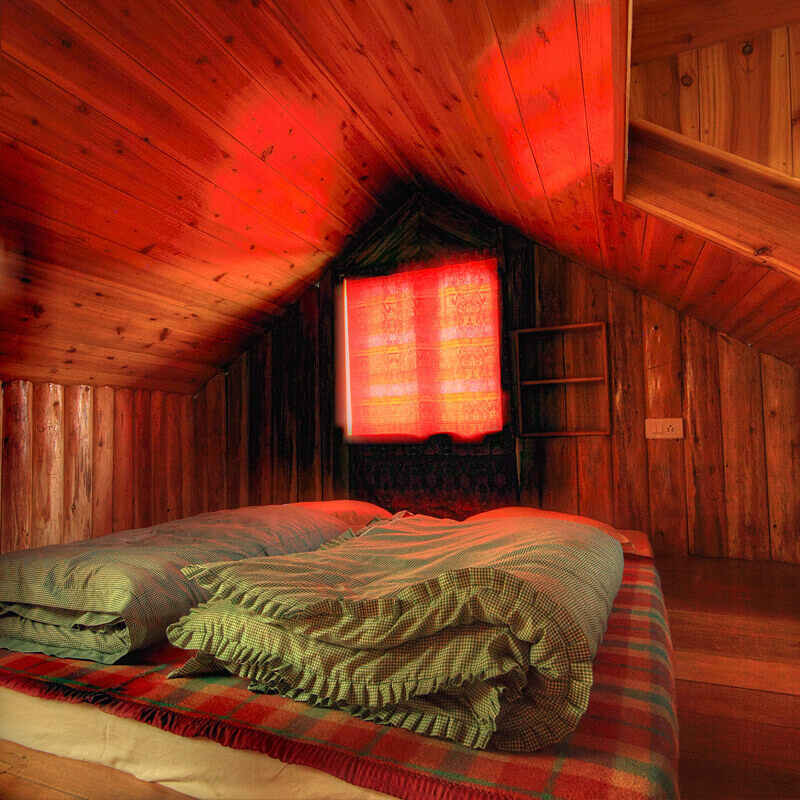 Neora Valley Jungle Camp