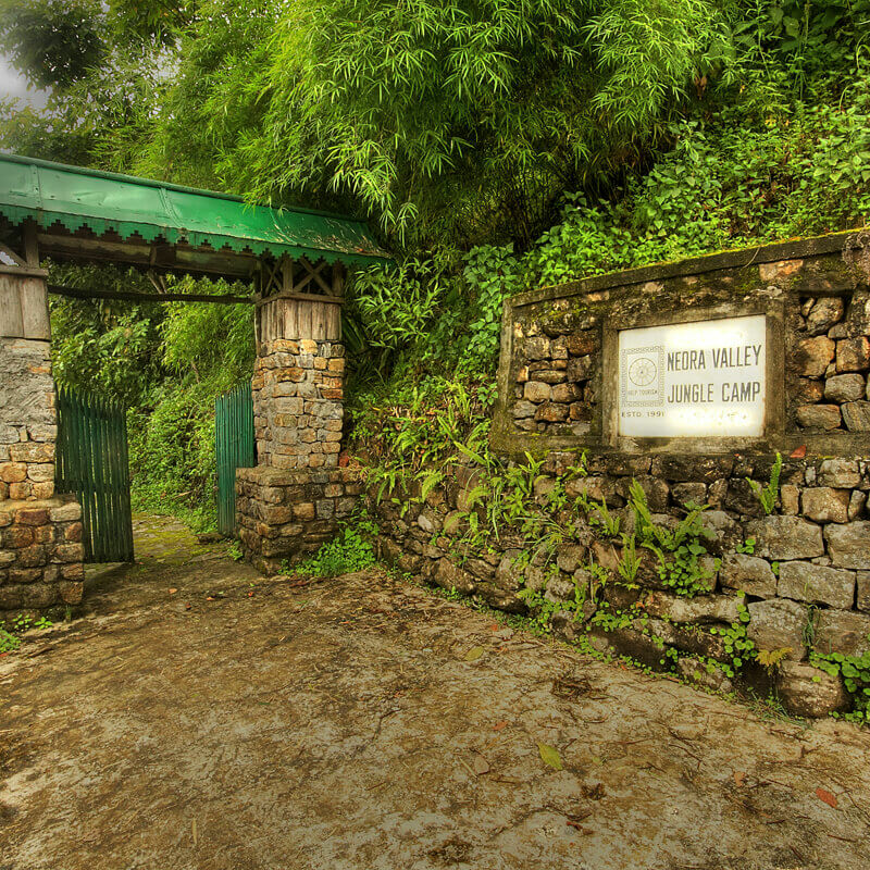 Neora Valley Jungle Camp