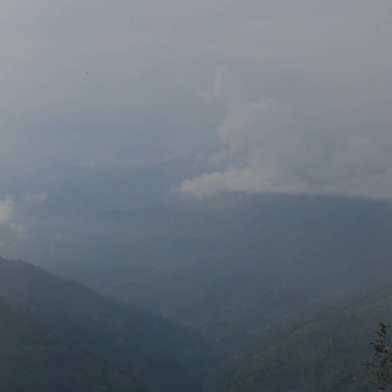 Neora Valley Jungle Camp