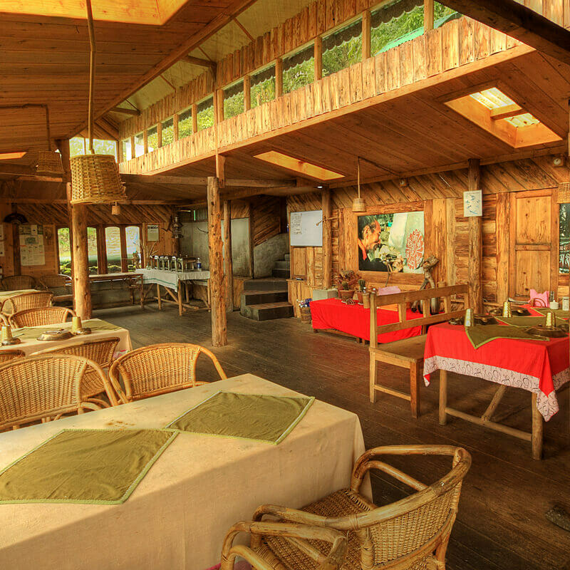 Neora Valley Jungle Camp